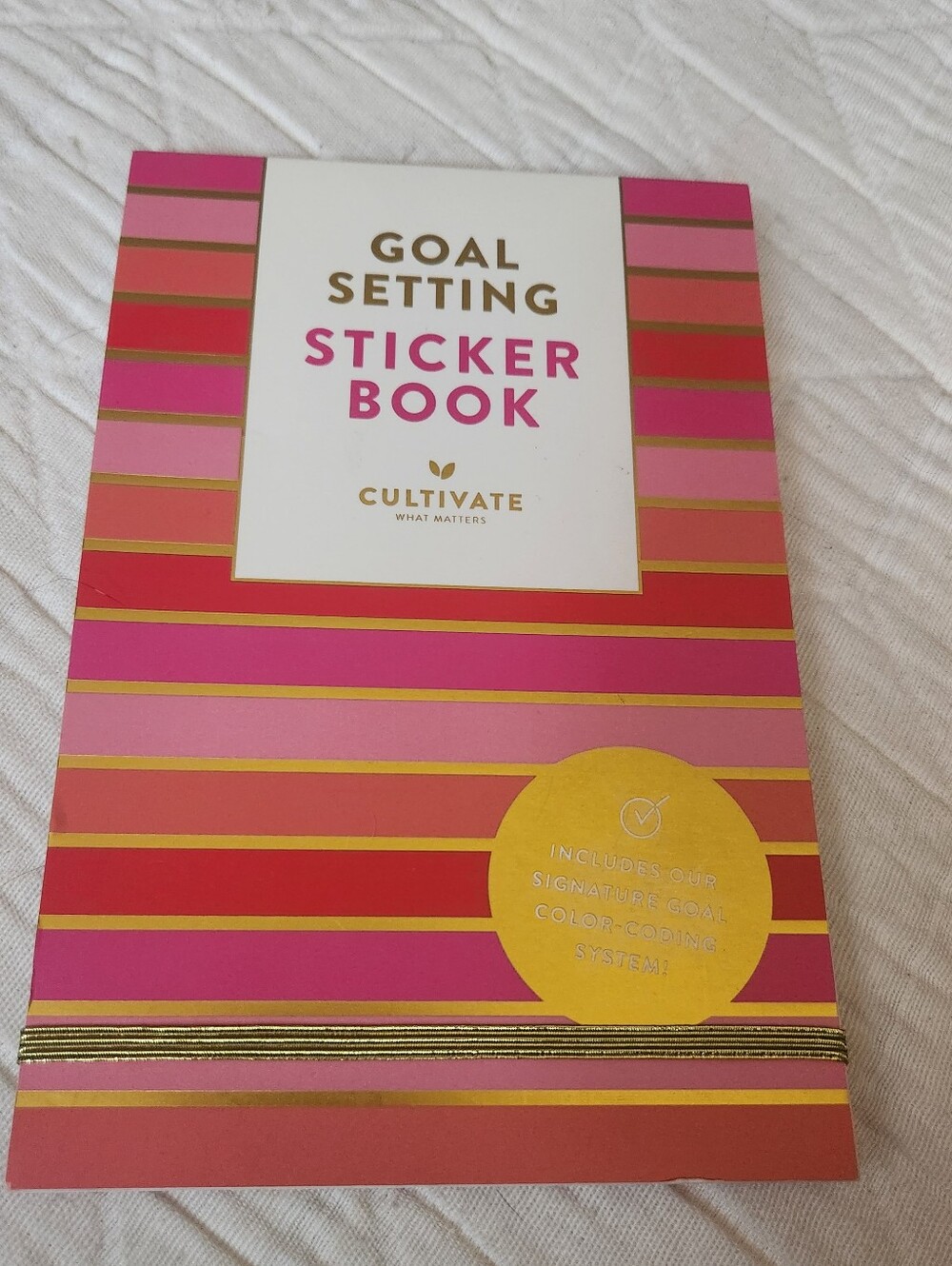 NWOT Cultivate Goal Setting Sticker Book- Pink & Gold Stripes